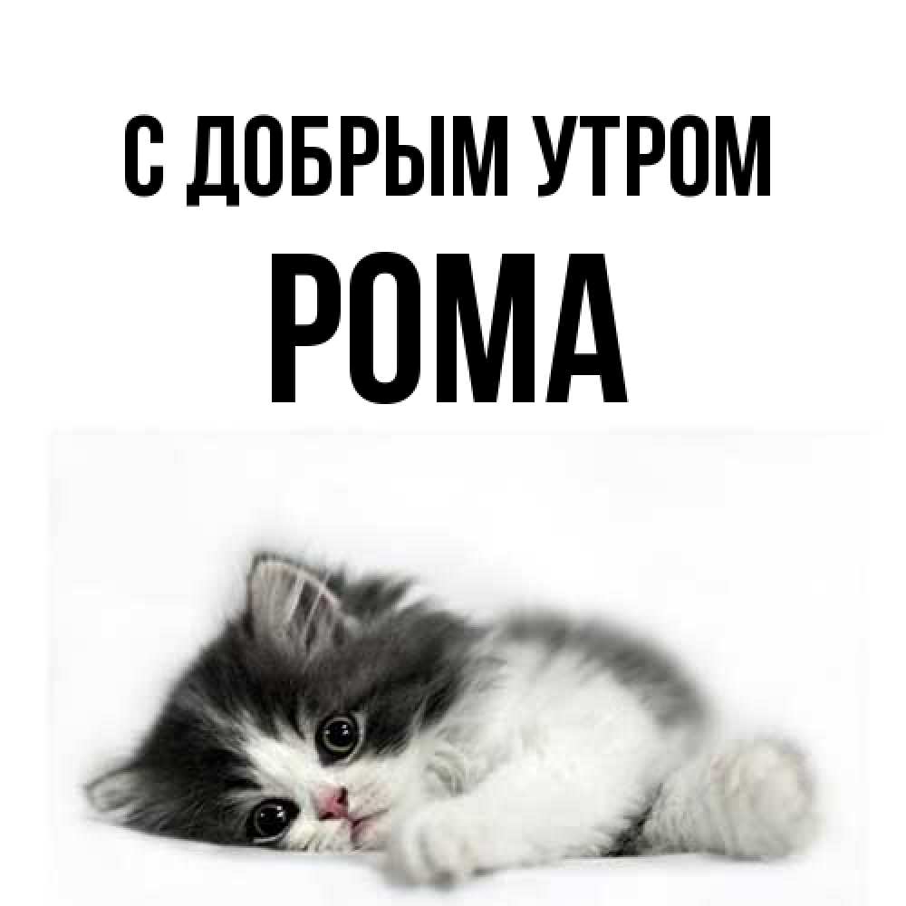 Открытка  с именем. Рома, С добрым утром  