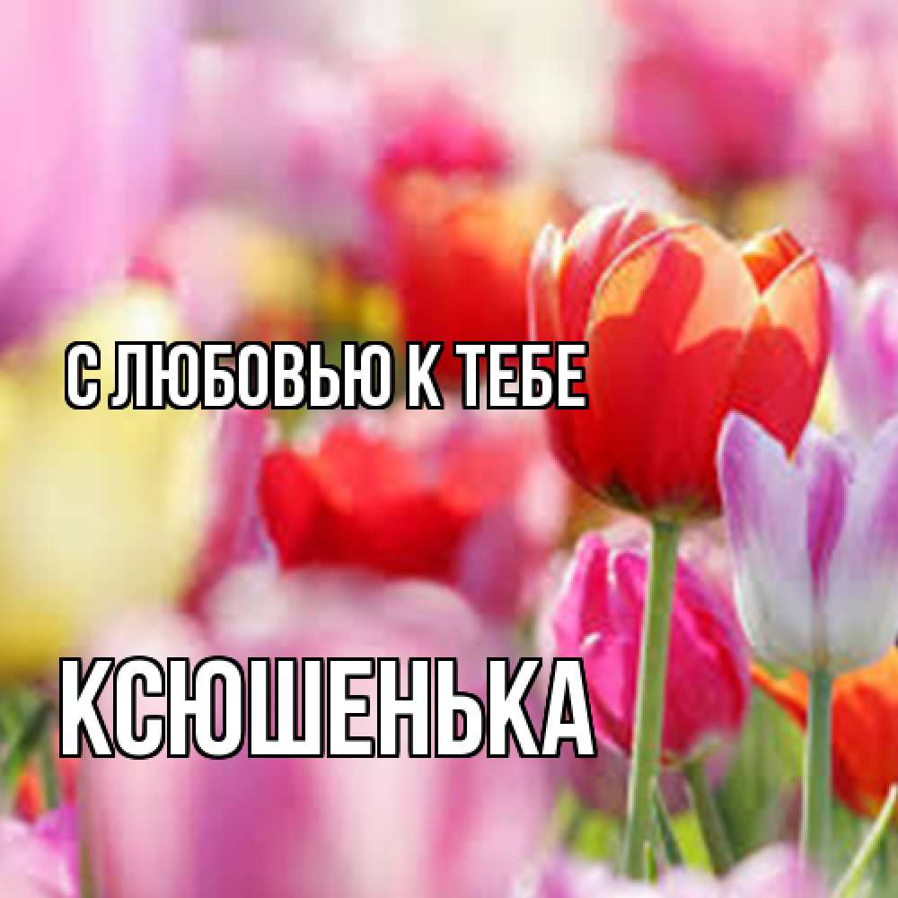 Открытка  с именем. Ксюшенька, С любовью к тебе  