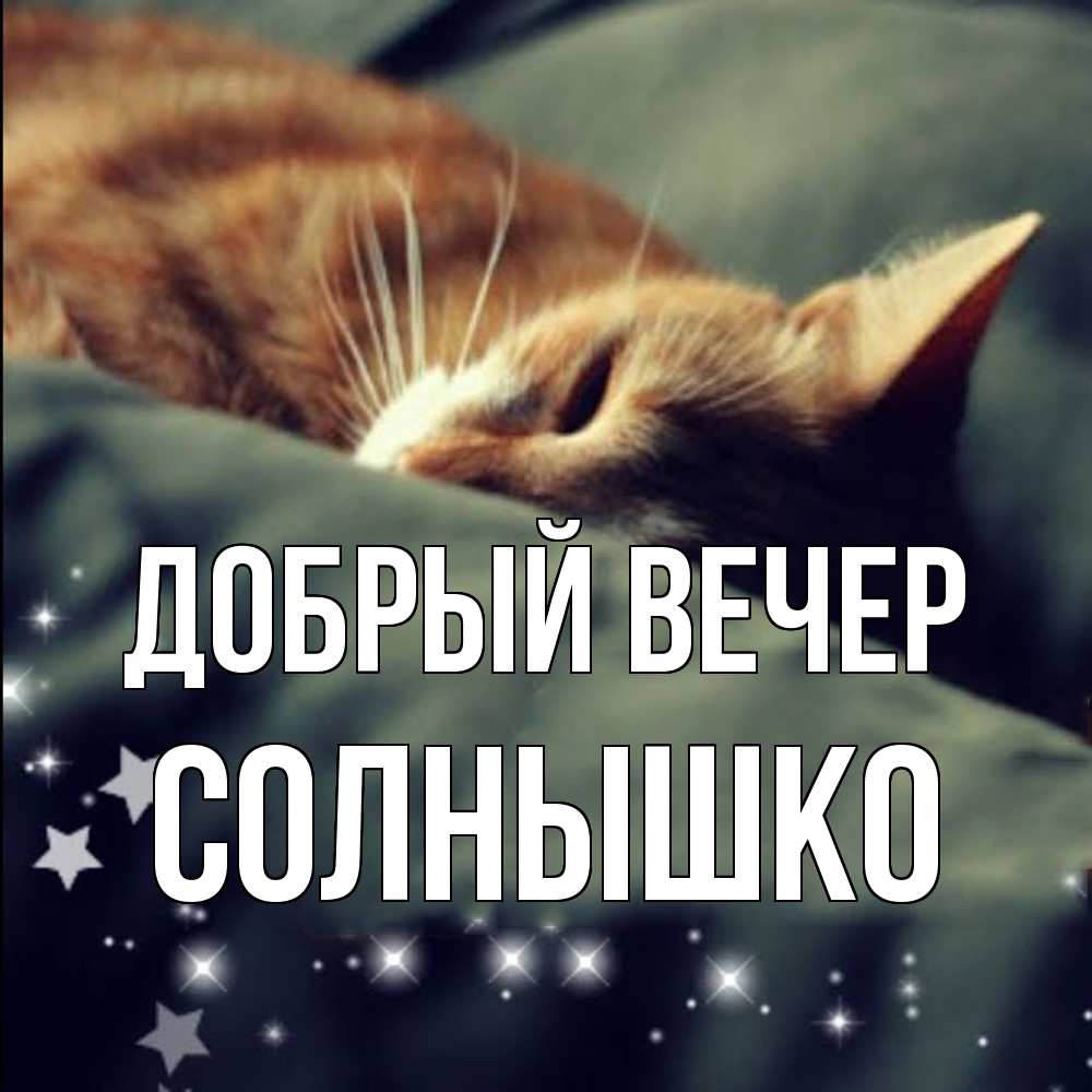 Открытка  с именем. Солнышко, Добрый вечер  