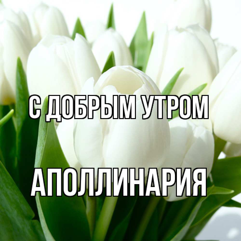 Открытка  с именем. Аполлинария, С добрым утром  