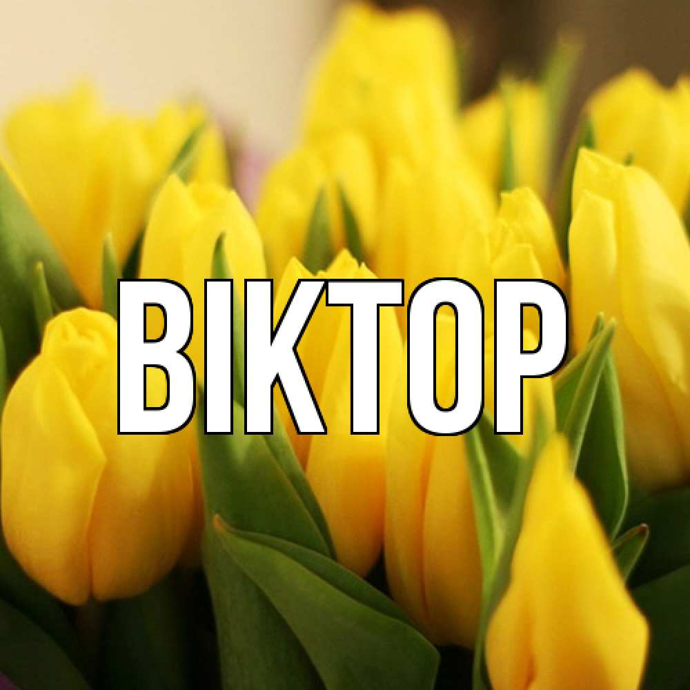 Открытка  с именем. Віктор, Главная  