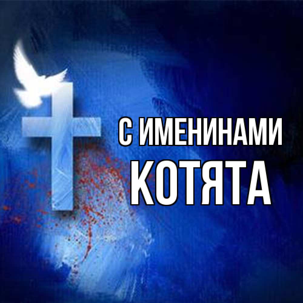 Открытка  с именем. Котята, С именинами  