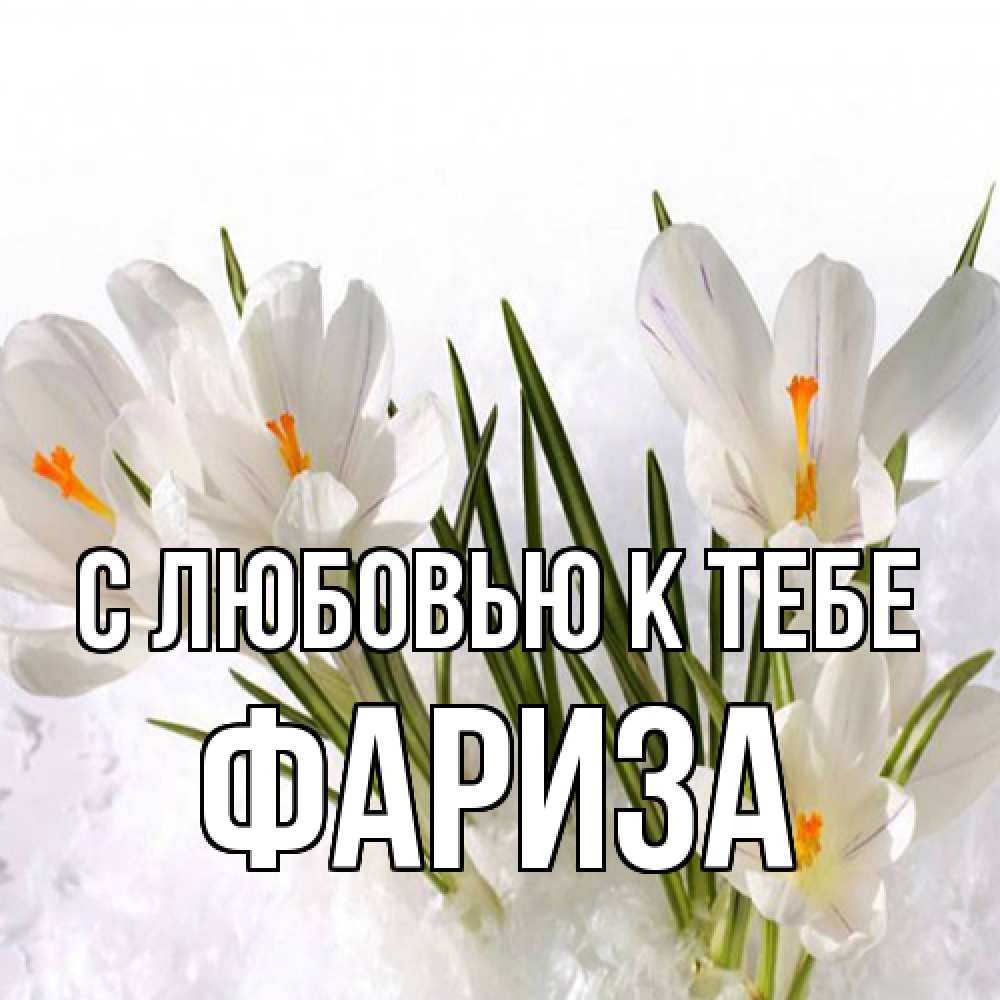 Открытка  с именем. Фариза, С любовью к тебе  
