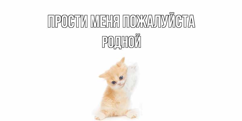 Картинка Прости меня пожалуйста, Родной