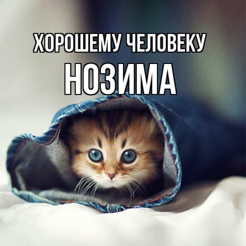 Картинка Хорошему человеку, Нозима