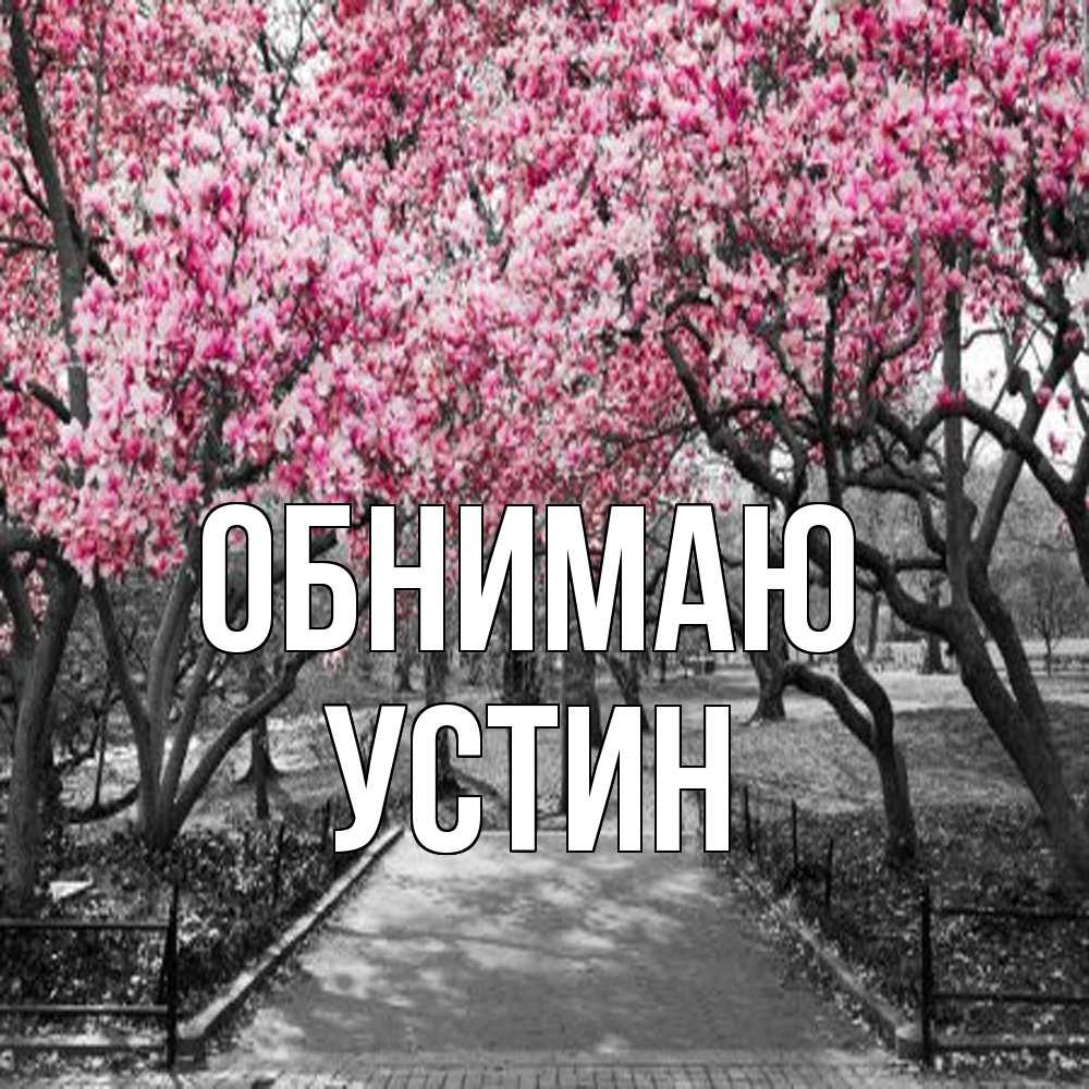 Открытка  с именем. Устин, Обнимаю  