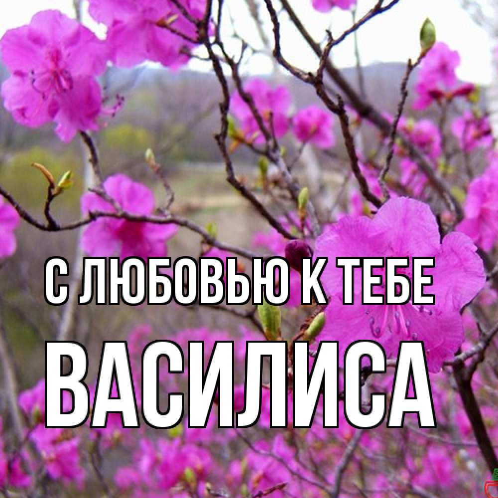 Открытка  с именем. Василиса, С любовью к тебе  