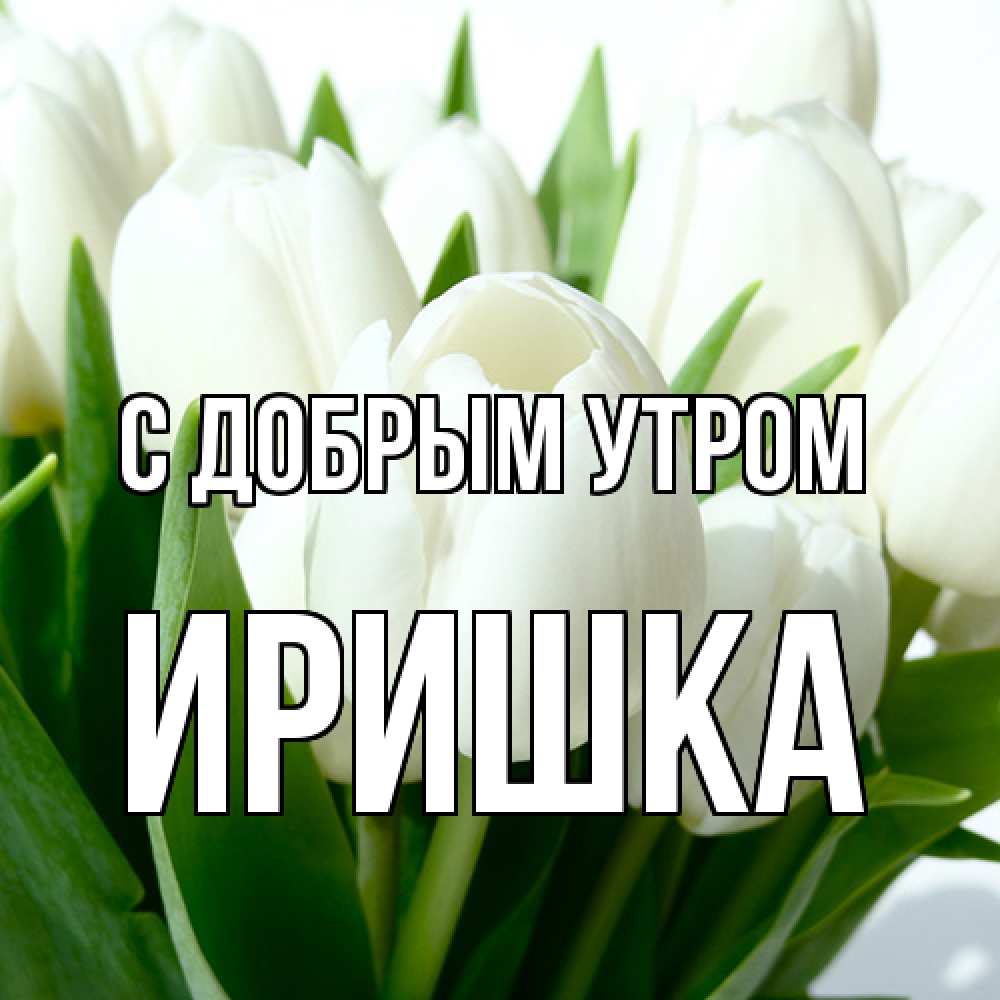 Открытка  с именем. Иришка, С добрым утром  