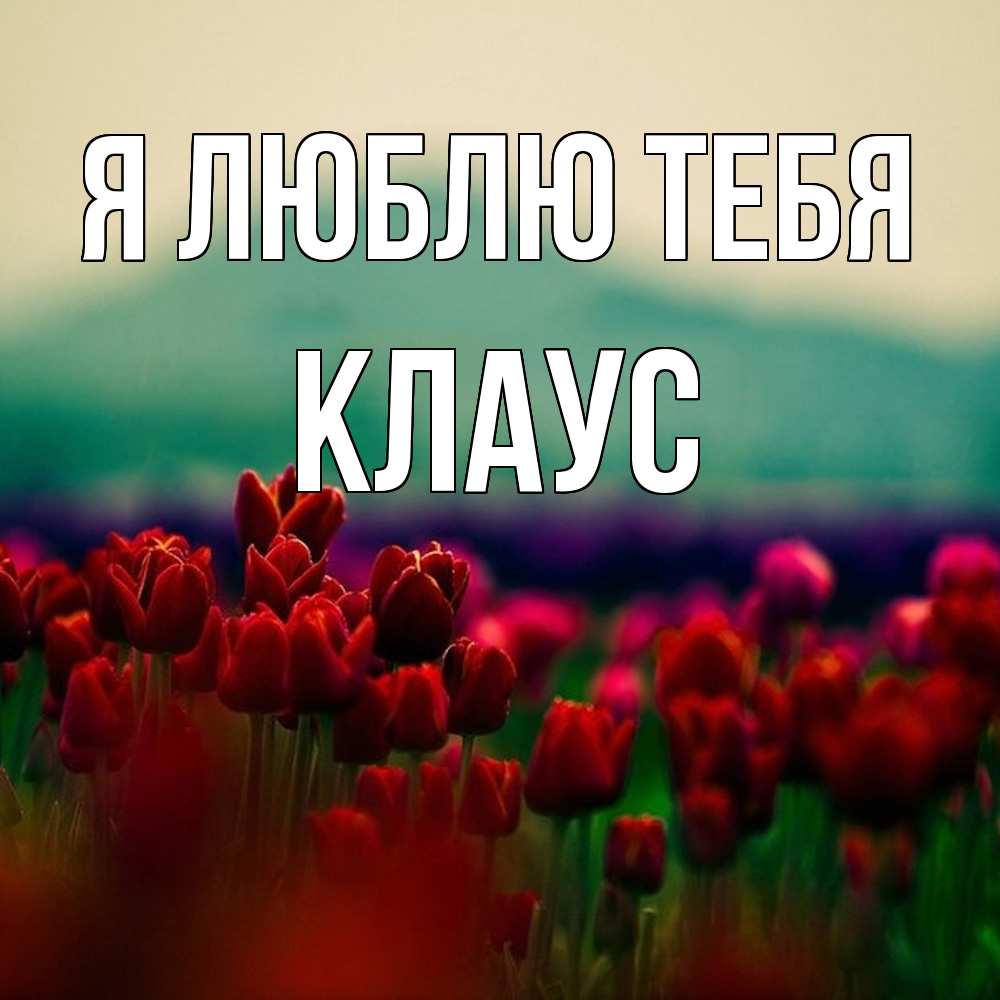 Открытка  с именем. Клаус, Я люблю тебя  