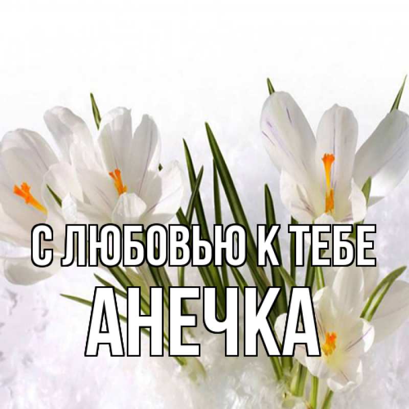 Картинка С любовью к тебе, анечка
