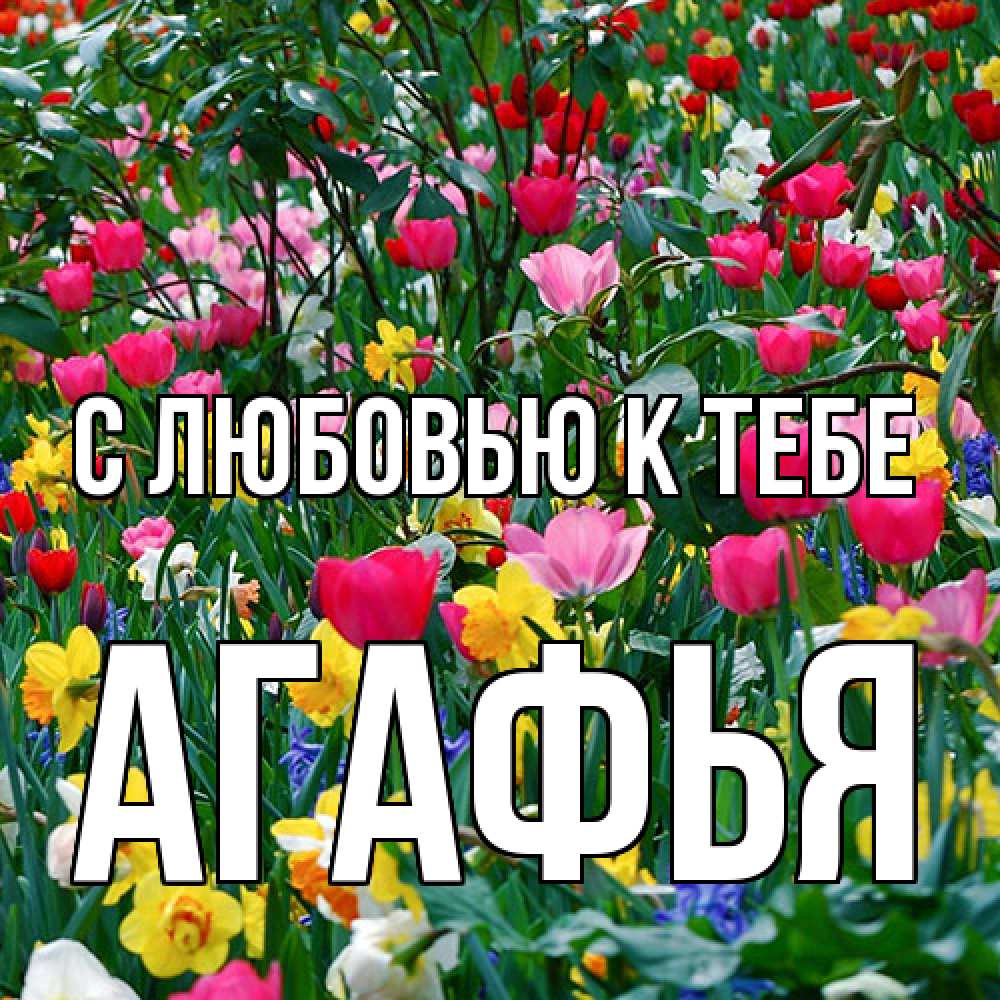 Открытка  с именем. Агафья, С любовью к тебе  
