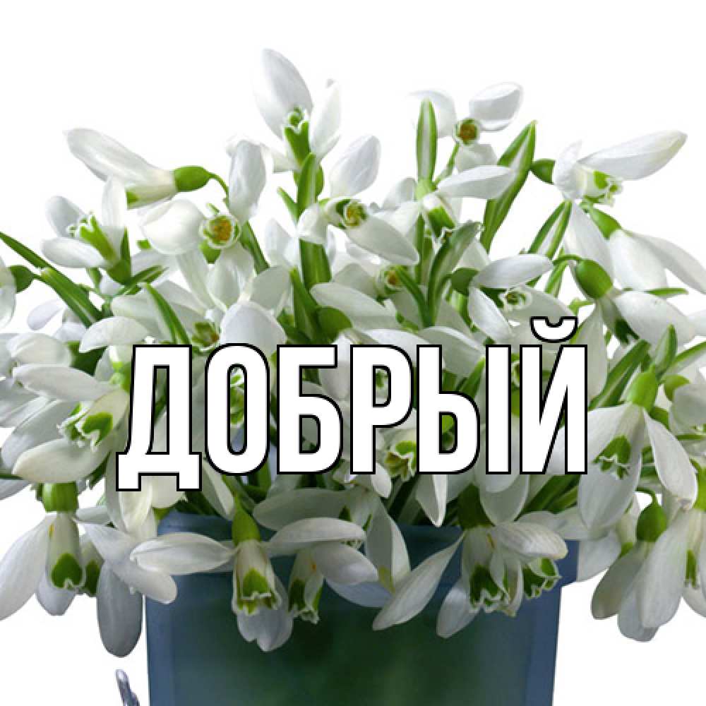 Открытка  с именем. Добрый, Главная  