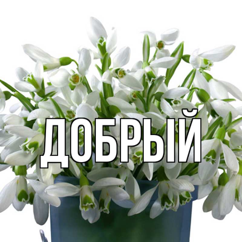 Картинка  с именем , Добрый