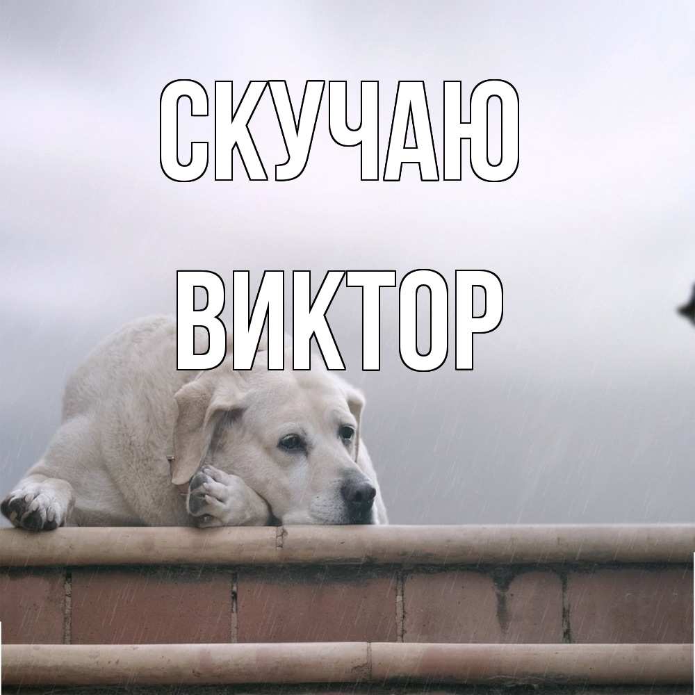 Открытка  с именем. Виктор, Скучаю  