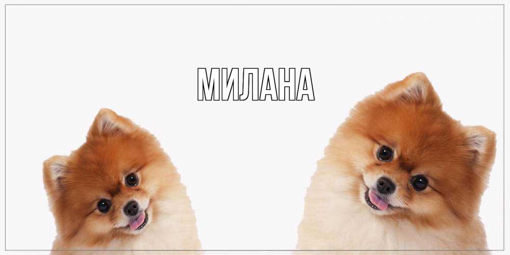 Открытка  с именем. Милана, Главная  