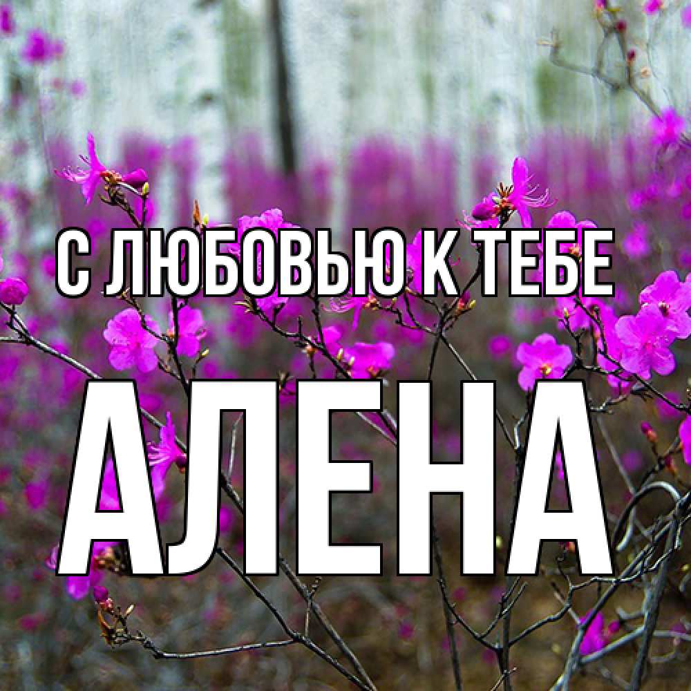 Открытка  с именем. Алена, С любовью к тебе  