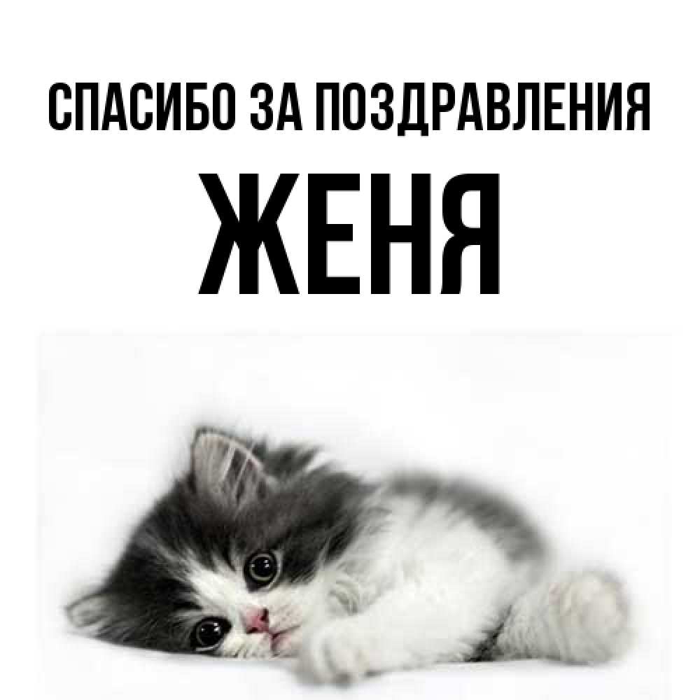 Открытка  с именем. Женя, Спасибо за поздравления  