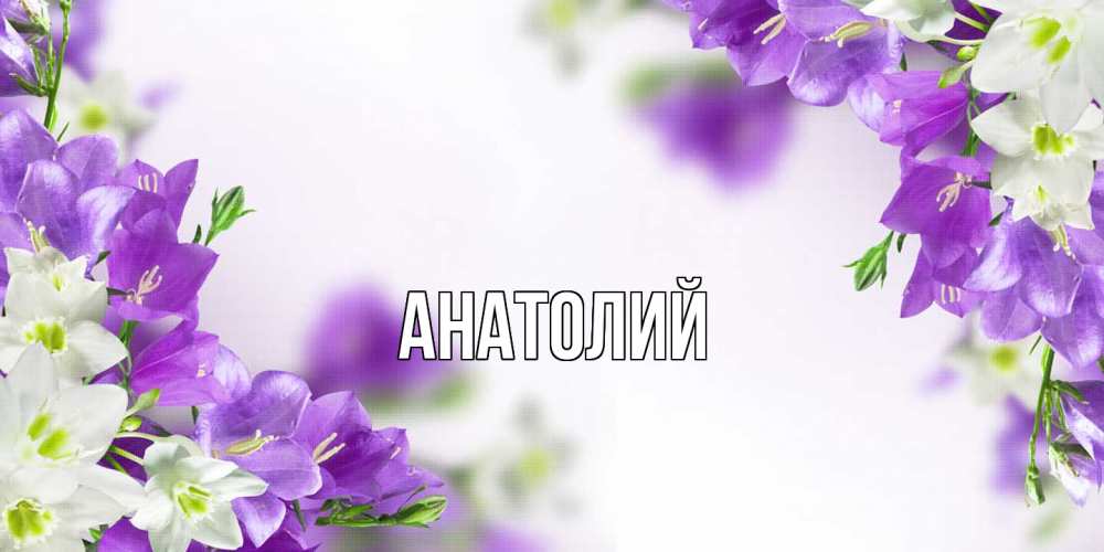 Открытка  с именем. Анатолий, Главная  