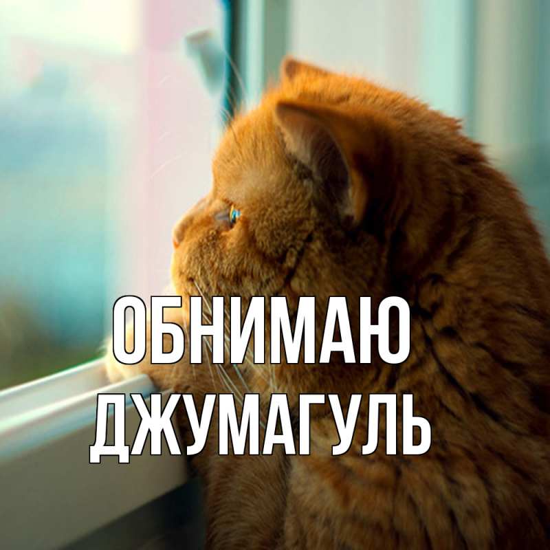 Картинка Обнимаю, Джумагуль