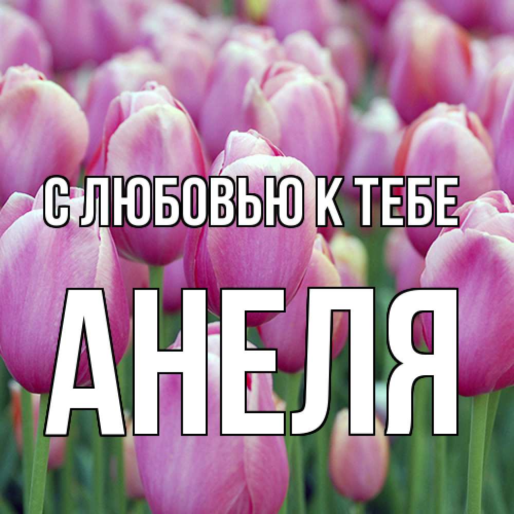 Открытка  с именем. Анеля, С любовью к тебе  