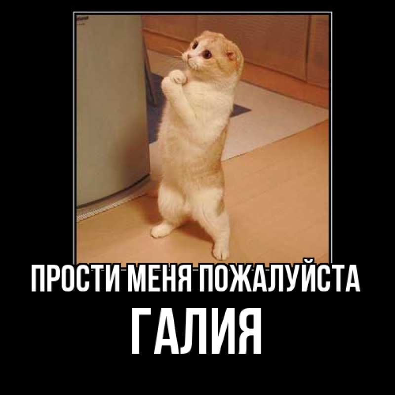Картинка Прости меня пожалуйста, Галия