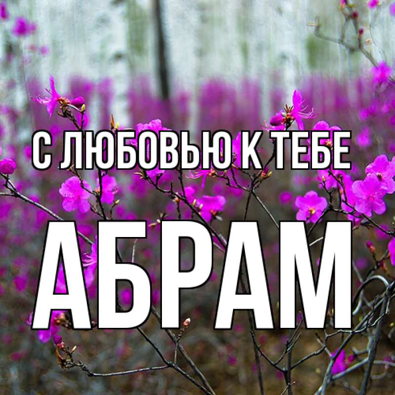 Картинка С любовью к тебе, Абрам