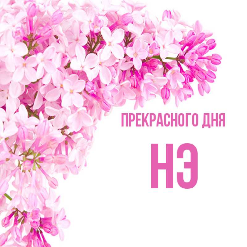 Картинка Прекрасного дня, Нэ