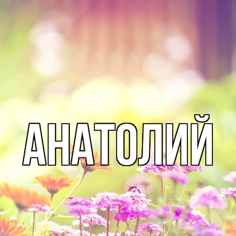 Открытка  с именем. Анатолий, Главная  