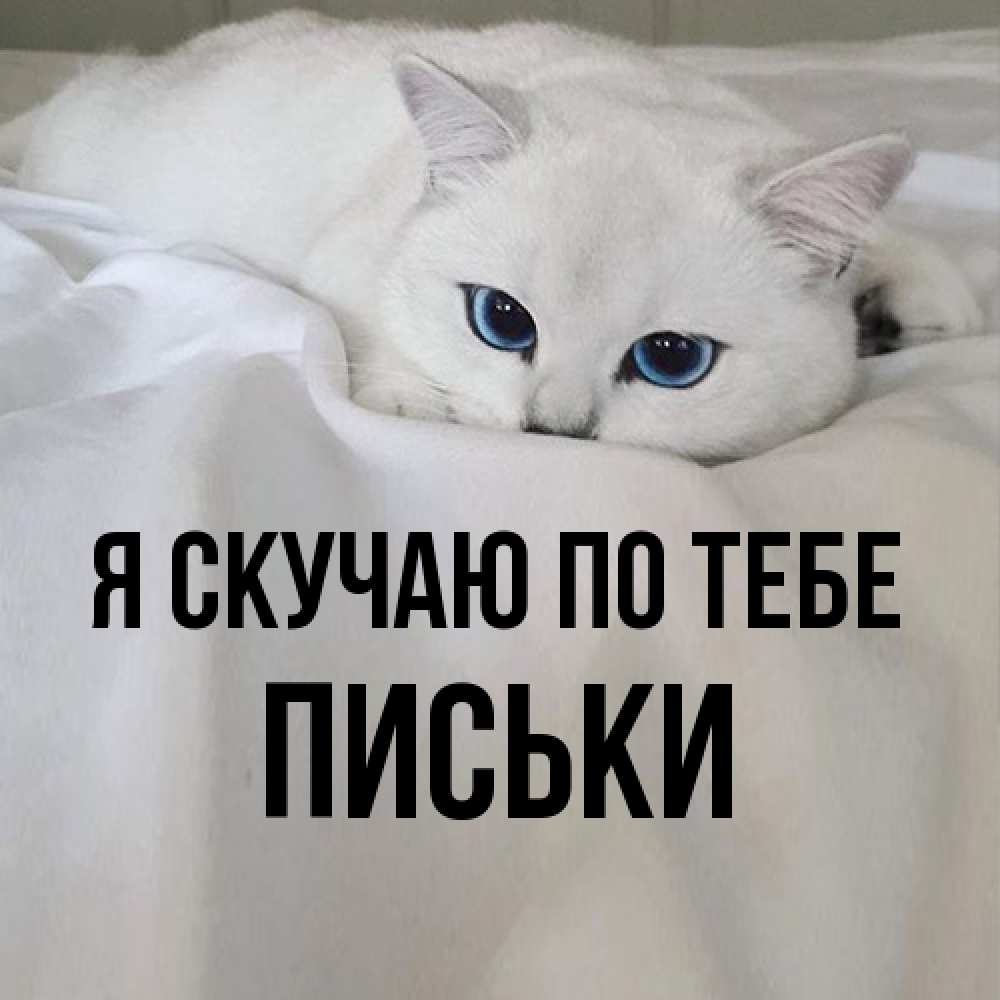 Открытка  с именем. Письки, Я скучаю по тебе  