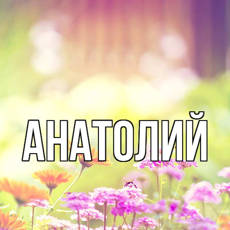 Картинка  с именем , Анатолий