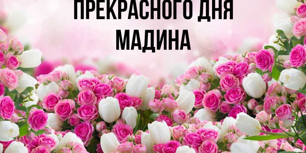 Открытка  с именем. Мадина, Прекрасного дня  