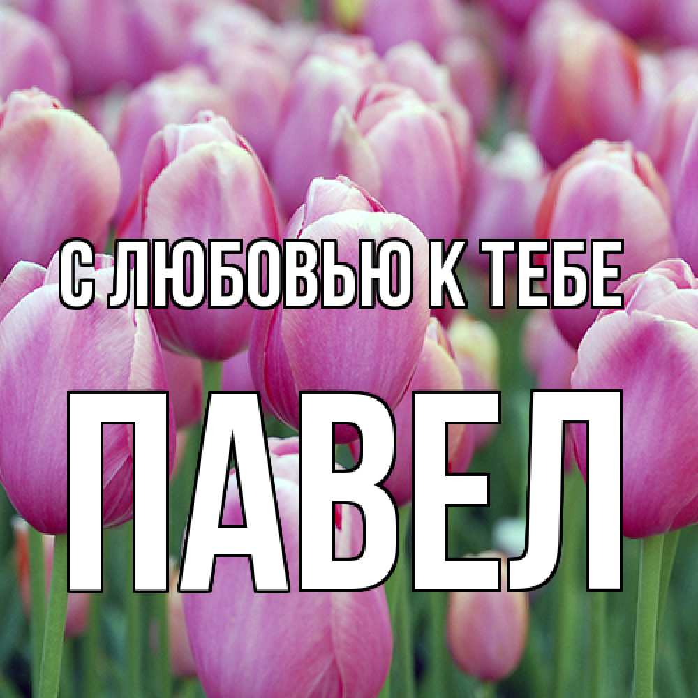 Открытка  с именем. Павел, С любовью к тебе  