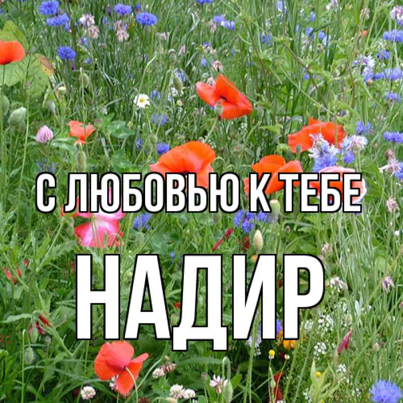 Картинка С любовью к тебе, Надир