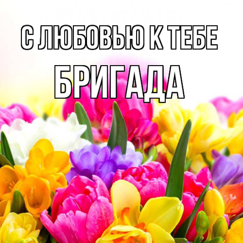 Открытка  с именем. Бригада, С любовью к тебе  