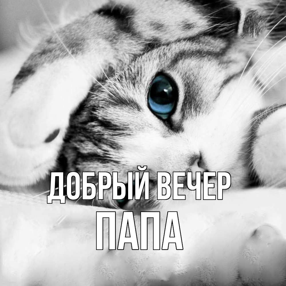 Открытка  с именем. Папа, Добрый вечер  