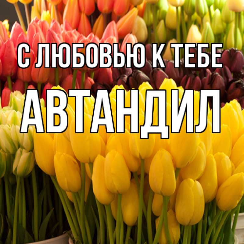 Картинка С любовью к тебе, Автандил