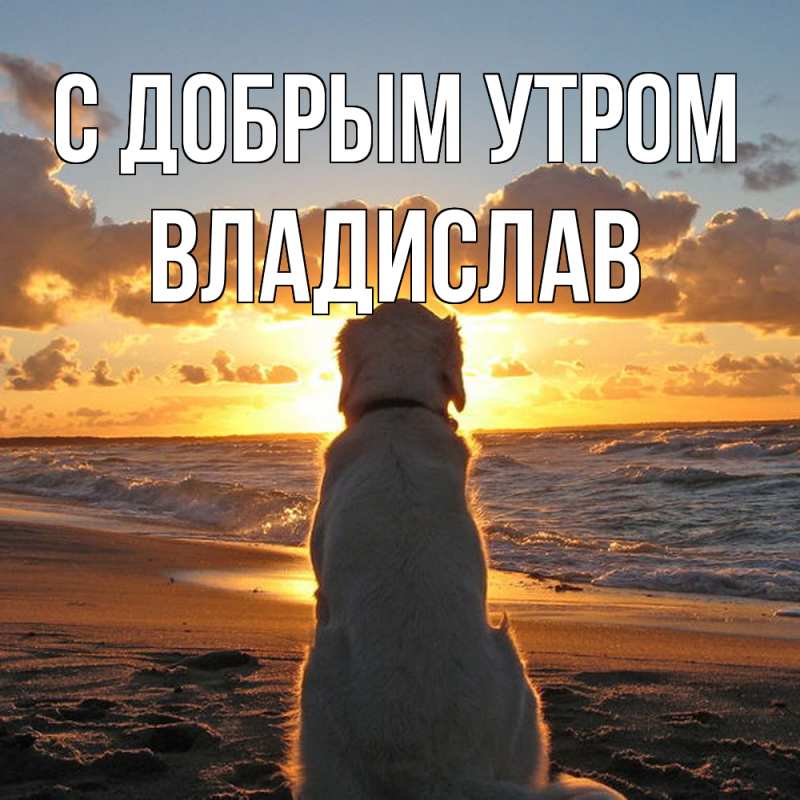 Картинка С добрым утром, Владислав