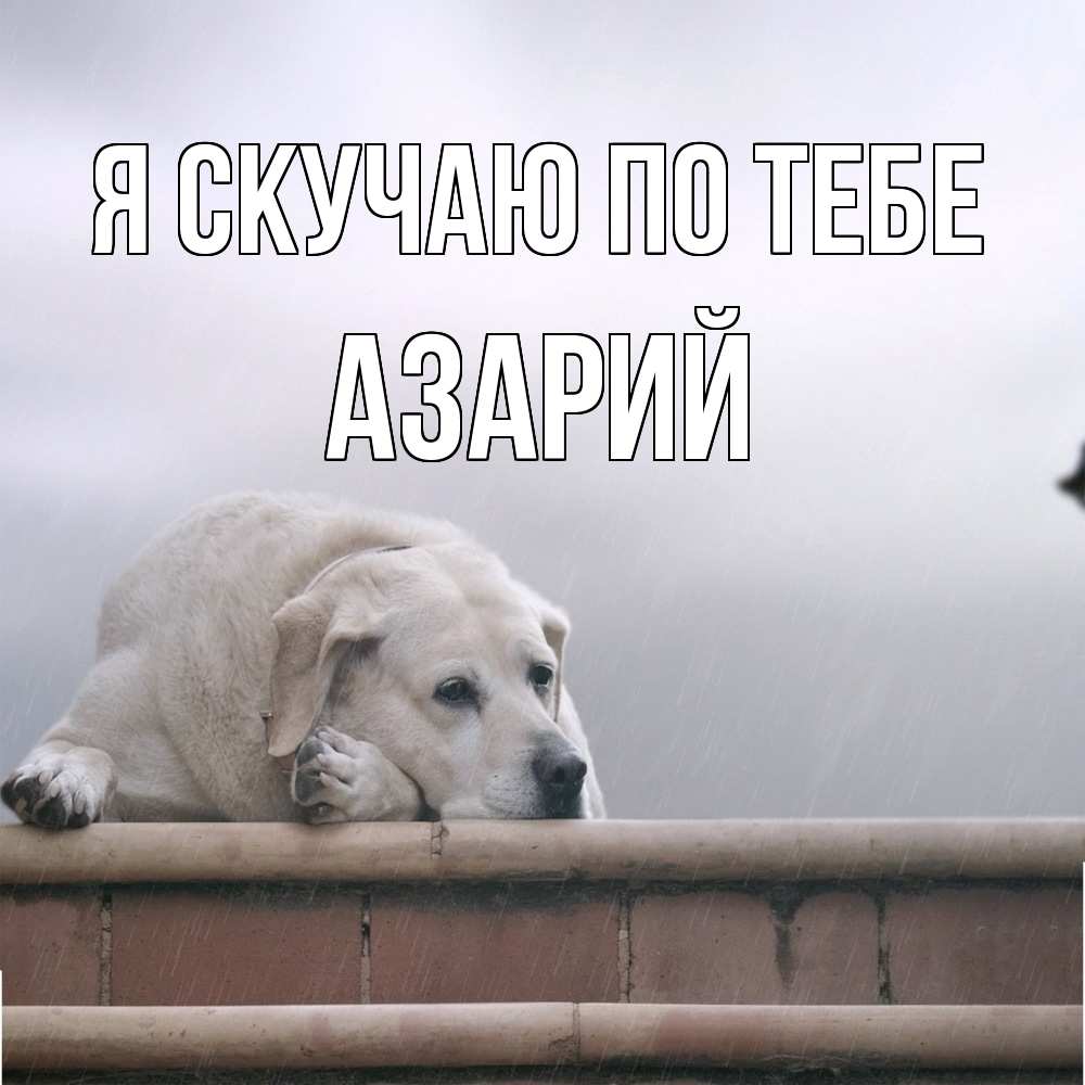 Открытка  с именем. Азарий, Я скучаю по тебе  