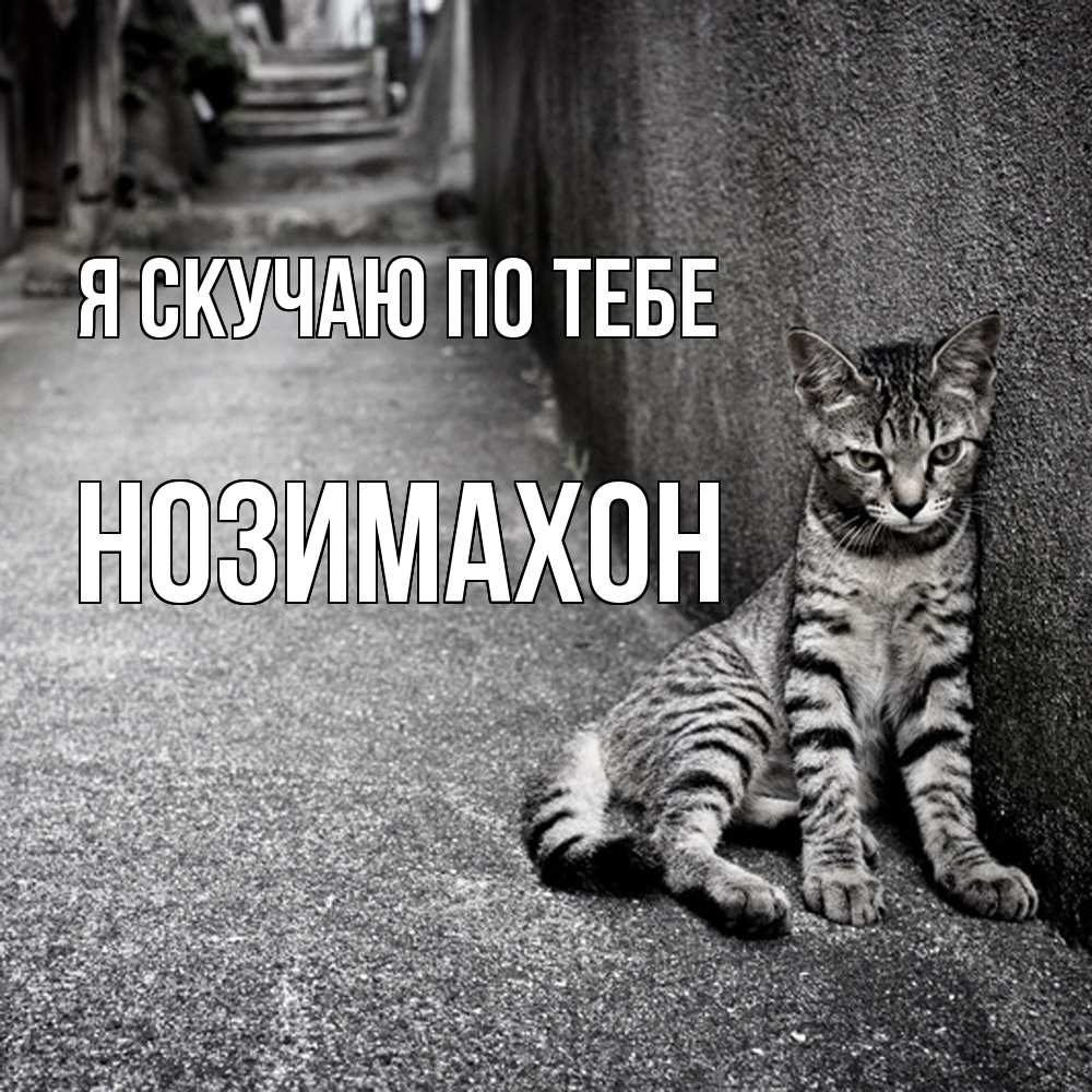 Открытка  с именем. Нозимахон, Я скучаю по тебе  