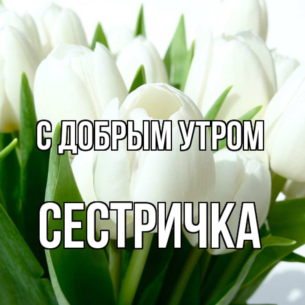 Открытка  с именем. Сестричка, С добрым утром  