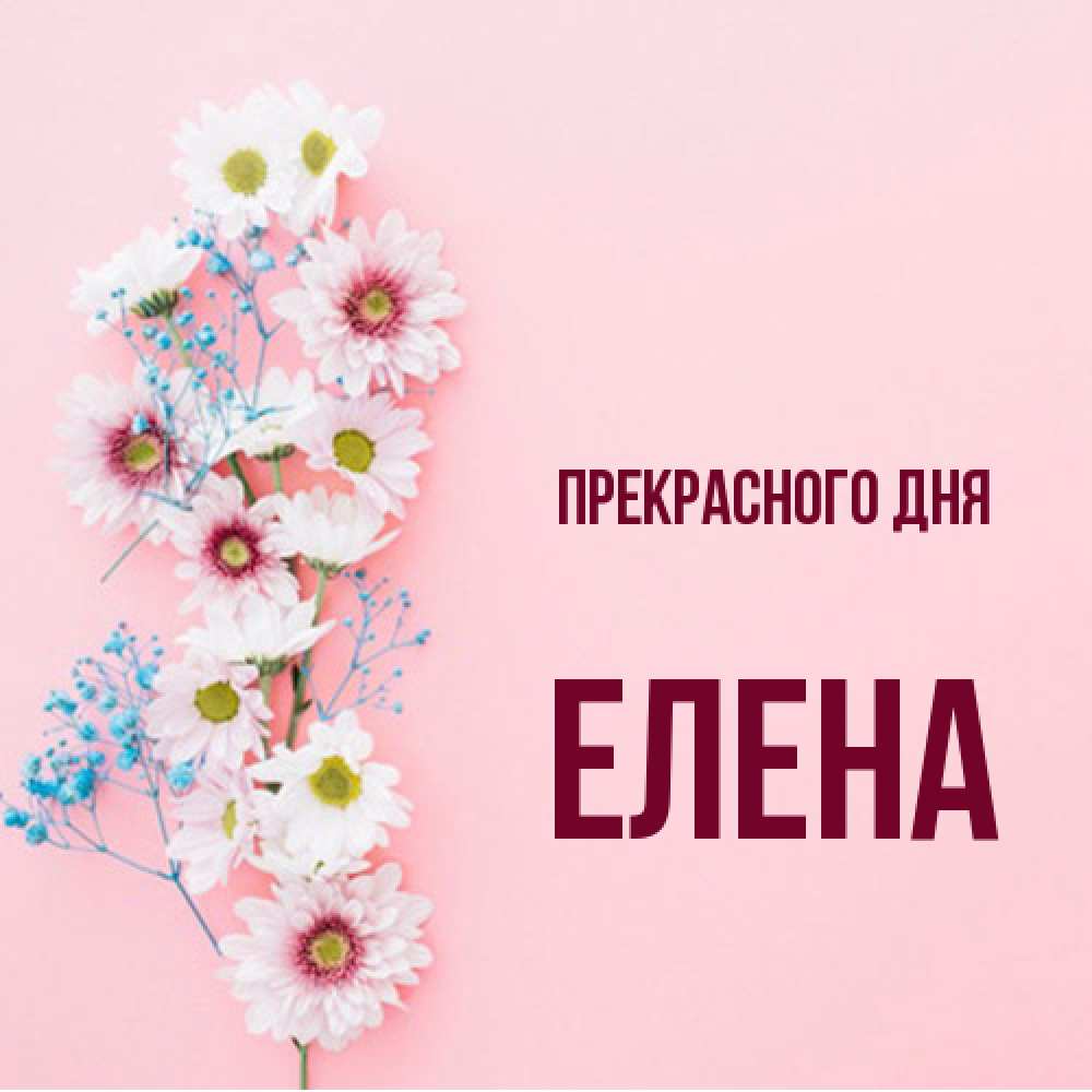 Открытка  с именем. Елена, Прекрасного дня  