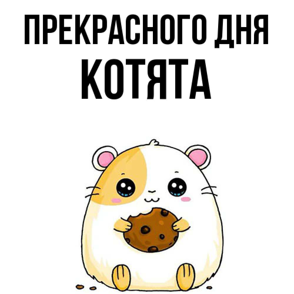 Открытка  с именем. Котята, Прекрасного дня  