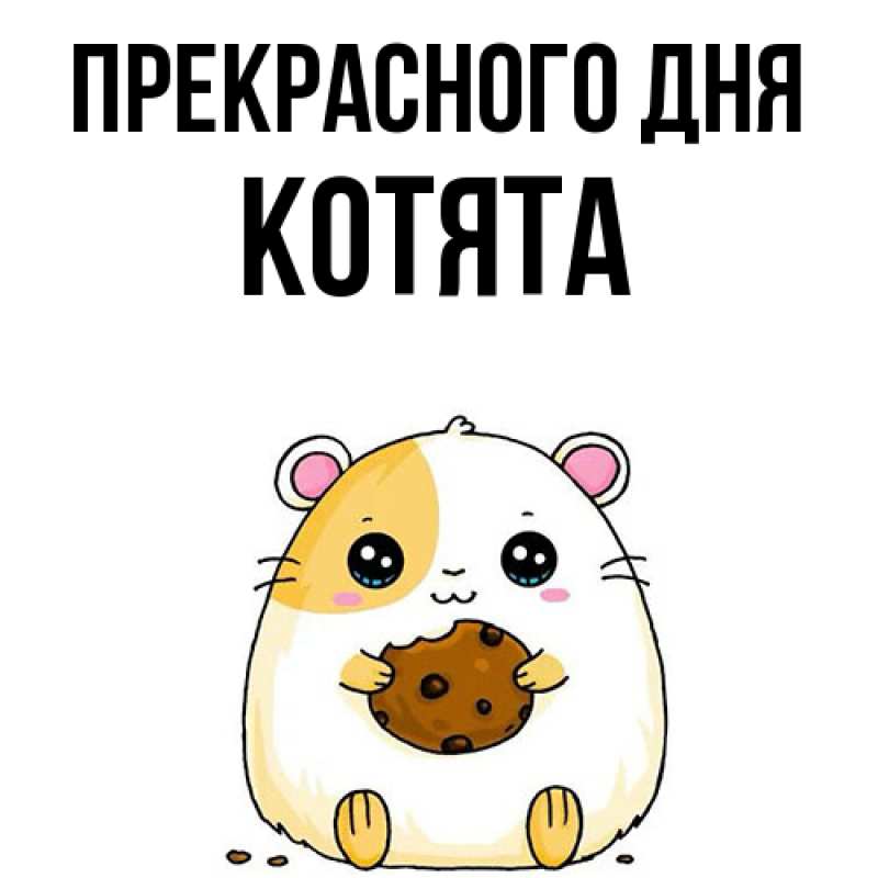 Картинка Прекрасного дня, Котята