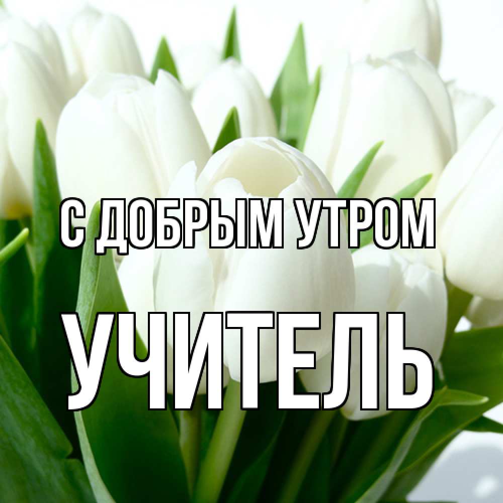 Открытка  с именем. Учитель, С добрым утром  