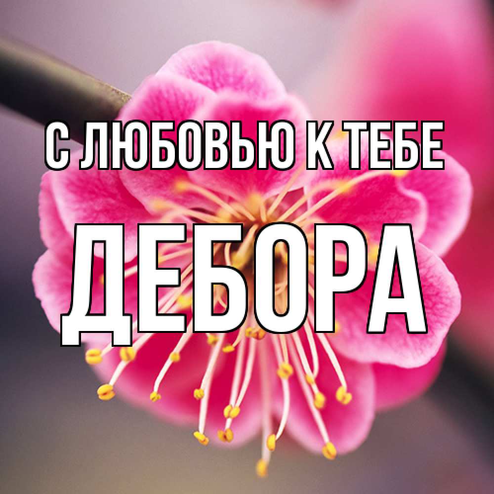 Открытка  с именем. Дебора, С любовью к тебе  