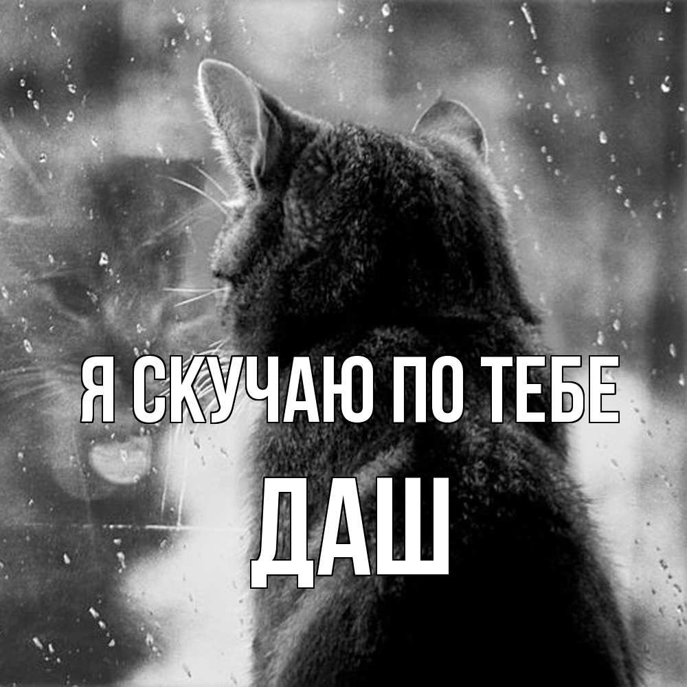 Открытка  с именем. Даш, Я скучаю по тебе  