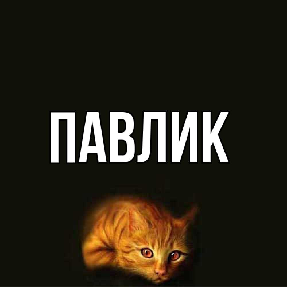 Открытка  с именем. Павлик, Главная  
