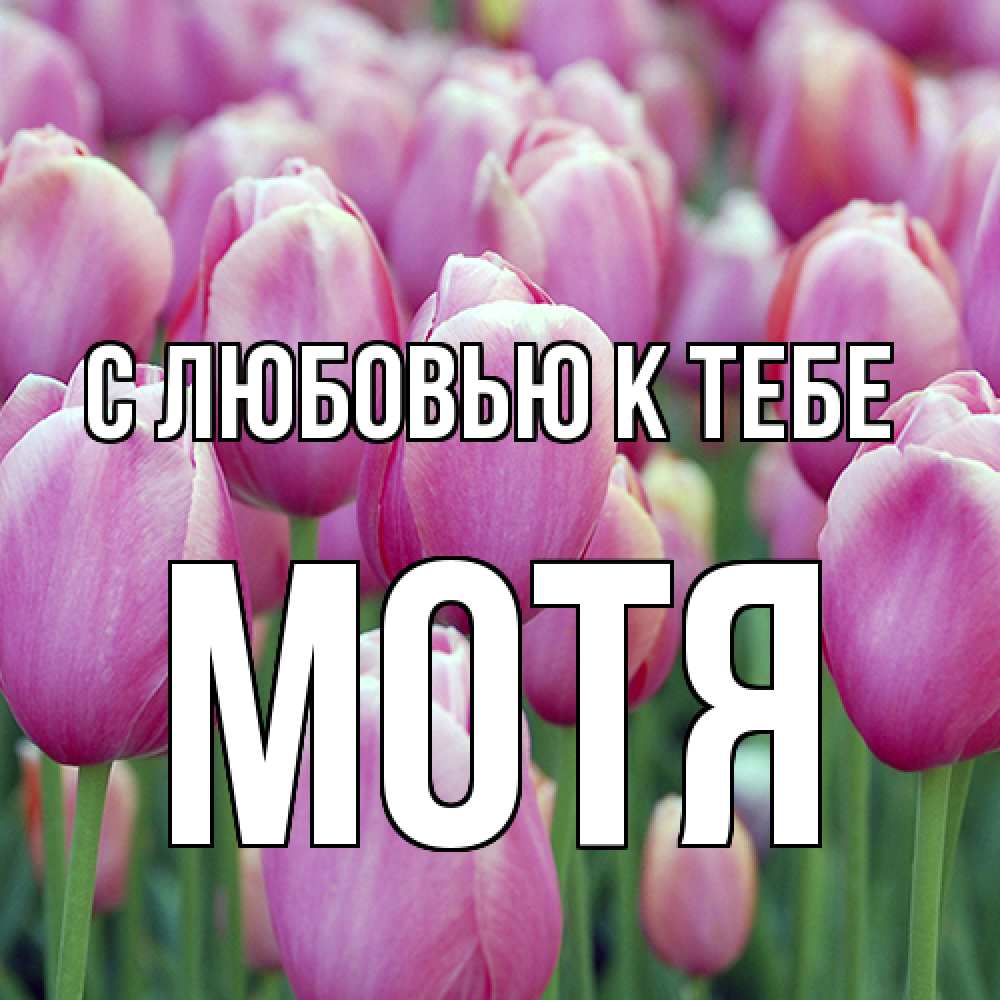 Открытка  с именем. Мотя, С любовью к тебе  