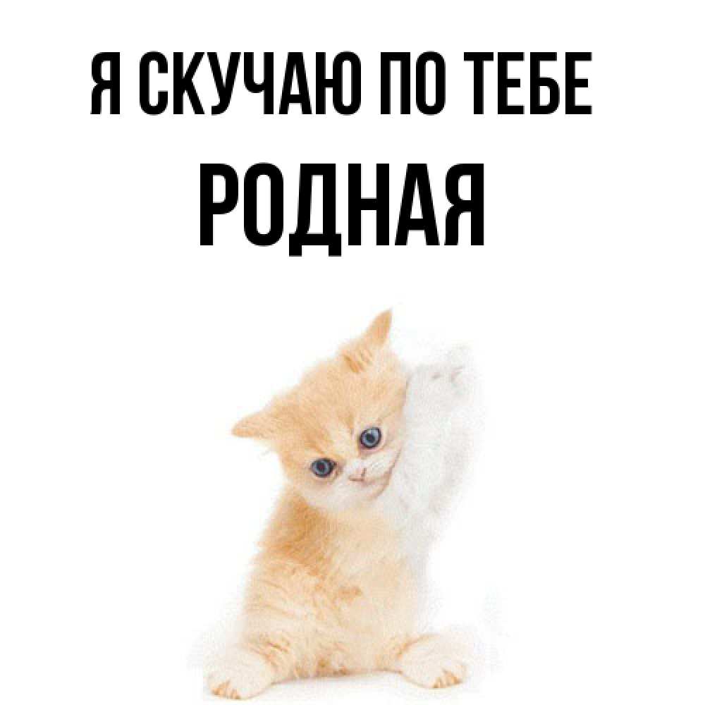 Открытка  с именем. Родная, Я скучаю по тебе  
