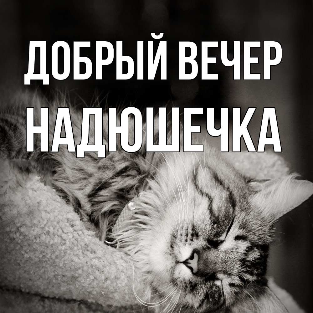 Открытка  с именем. Надюшечка, Добрый вечер  